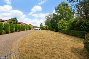 Front Garden- click for photo gallery